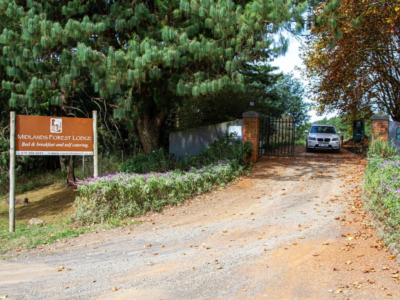 Midlands Forest Lodge Balgowan Ngoại thất bức ảnh